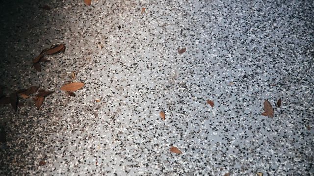 641 S West Lincoln Road, Stockton, CA 95207