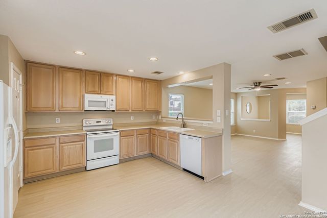 203 Adelaide Oaks, San Antonio, TX 78249