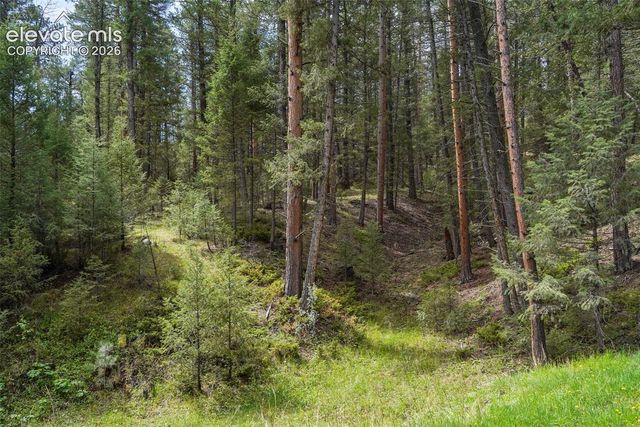 1424 High Drive, Sedalia, CO 80135