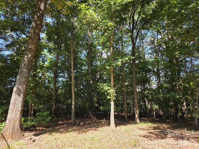 1190 Landsdowne Drive, Conover, NC 28613