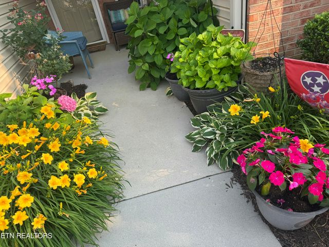 4528 Shamus Way, Knoxville, TN 37918