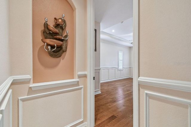 17923 ARBOR HAVEN DRIVE, Tampa, FL 33647