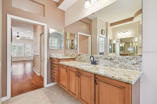 17923 ARBOR HAVEN DRIVE, Tampa, FL 33647