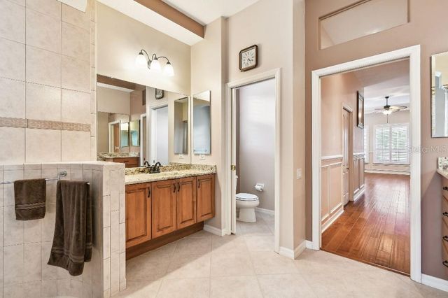 17923 ARBOR HAVEN DRIVE, Tampa, FL 33647