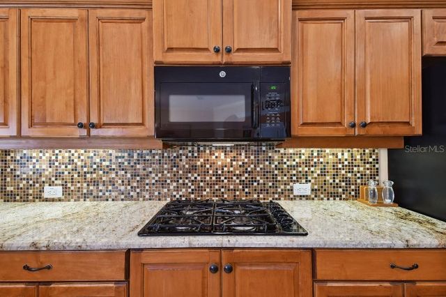 17923 ARBOR HAVEN DRIVE, Tampa, FL 33647