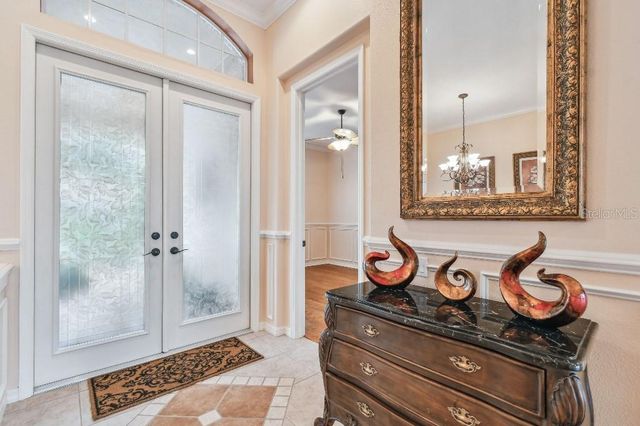 17923 ARBOR HAVEN DRIVE, Tampa, FL 33647