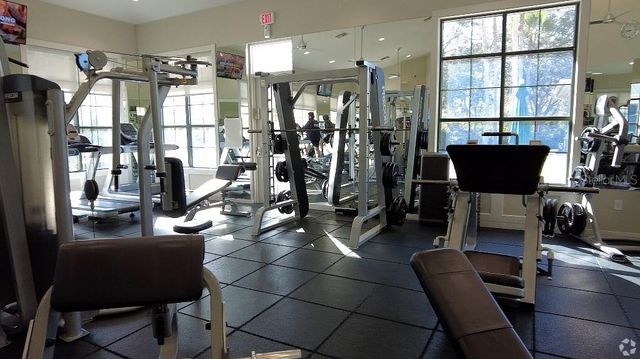 17923 ARBOR HAVEN DRIVE, Tampa, FL 33647