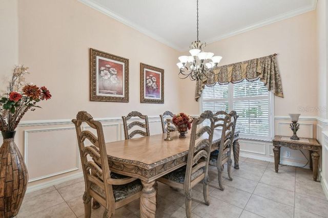 17923 ARBOR HAVEN DRIVE, Tampa, FL 33647