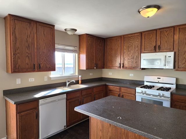 1306 RIVERHAVEN Trail, Joliet, IL 60431