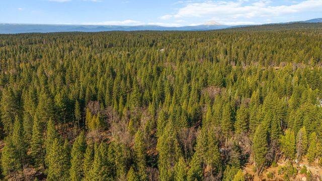 32833 California 44, Shingletown, CA 96088