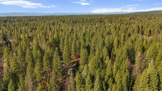 32833 California 44, Shingletown, CA 96088