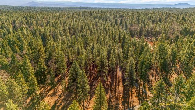 32833 California 44, Shingletown, CA 96088