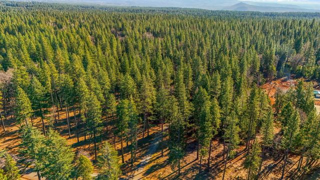 32833 California 44, Shingletown, CA 96088