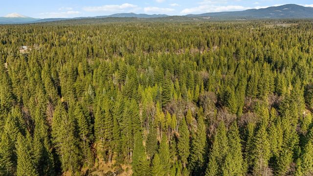 32833 California 44, Shingletown, CA 96088