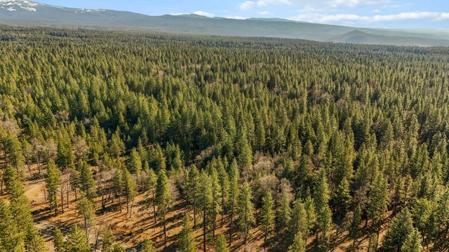 32833 California 44, Shingletown, CA 96088