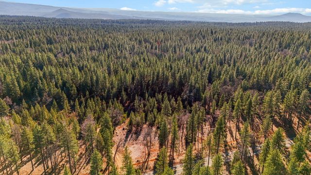 32833 California 44, Shingletown, CA 96088