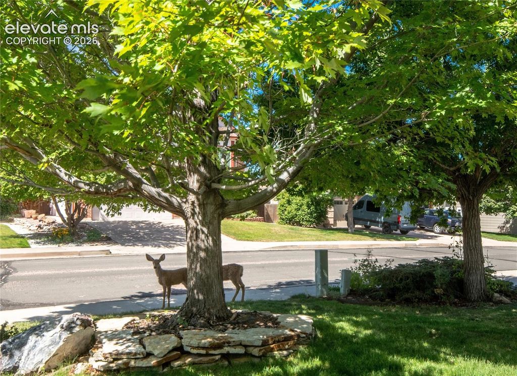 6151 Treeledge Drive, Colorado Springs, CO 80918 — photo 3
