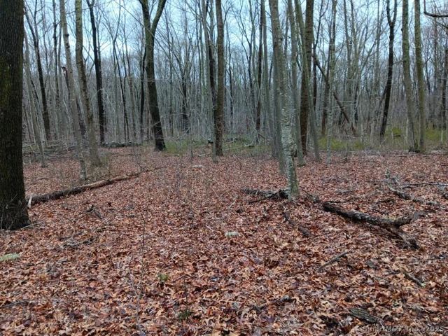 53 Shanaghans Road, East Haddam, CT 06423