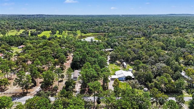1393 S CANDLENUT AVENUE, Homosassa, FL 34448