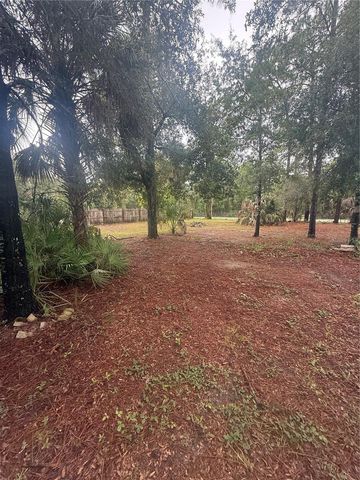 1393 S CANDLENUT AVENUE, Homosassa, FL 34448