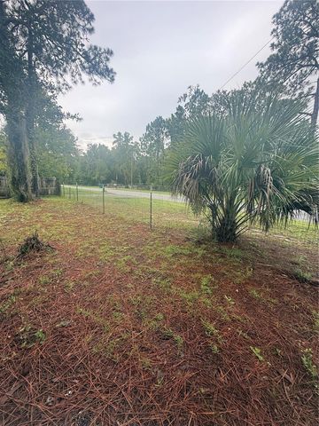 1393 S CANDLENUT AVENUE, Homosassa, FL 34448