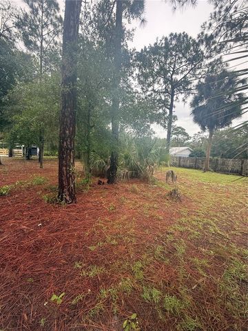 1393 S CANDLENUT AVENUE, Homosassa, FL 34448