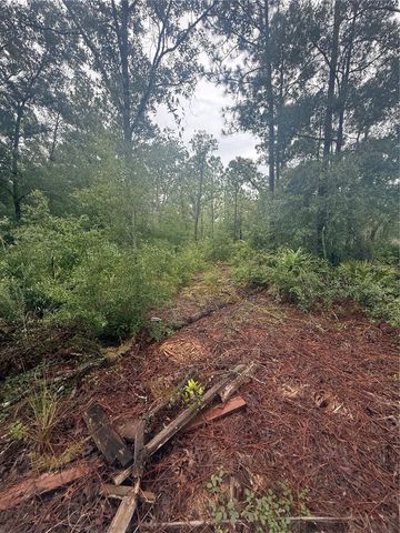 1393 S CANDLENUT AVENUE, Homosassa, FL 34448