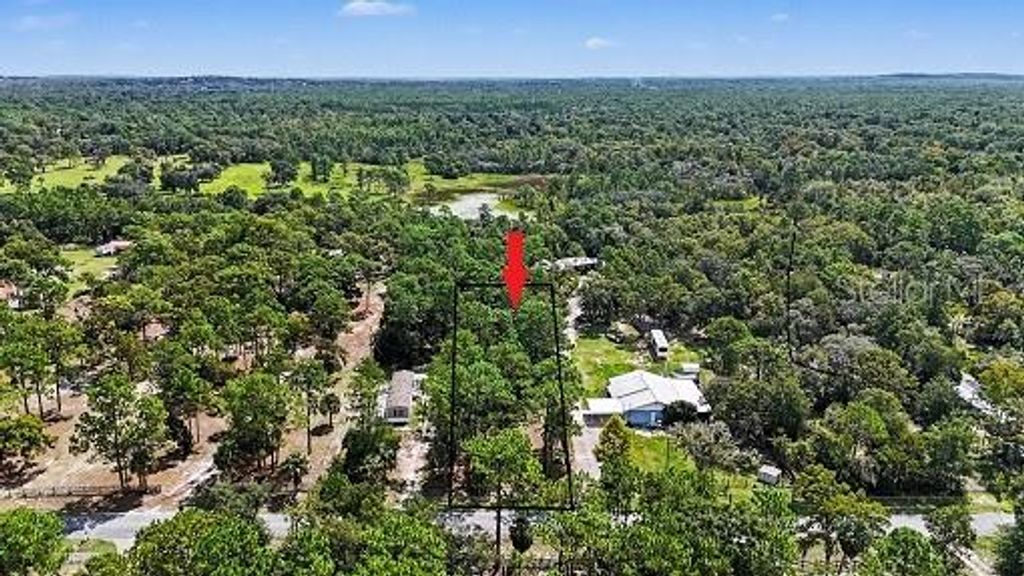 1393 S CANDLENUT AVENUE, Homosassa, FL 34448