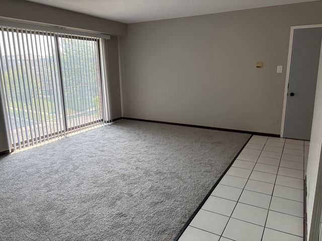 16622 Theresa Lane 302, Tinley Park, IL 60477