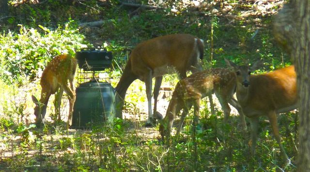 960 Turtle Creek Drive, Choctaw, OK 73020