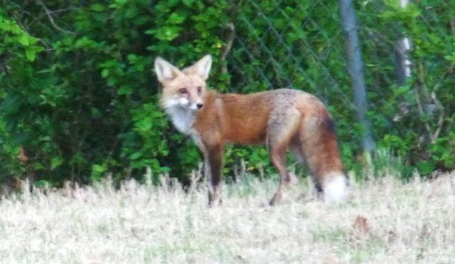 960 Turtle Creek Drive, Choctaw, OK 73020