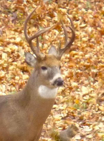 960 Turtle Creek Drive, Choctaw, OK 73020