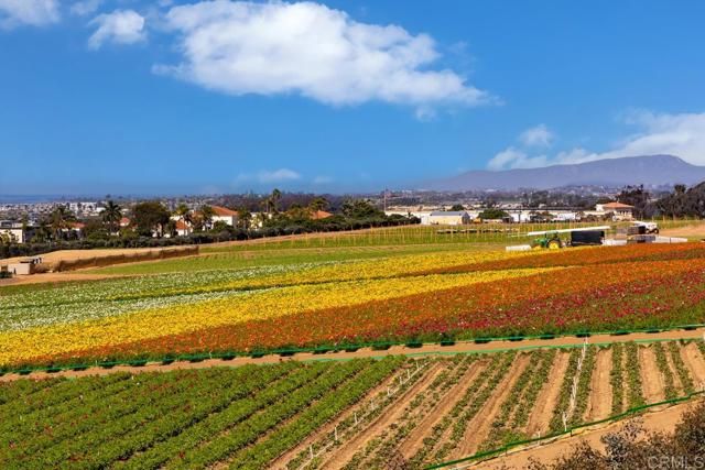 2523 Delphinium Lane, Carlsbad, CA 92008