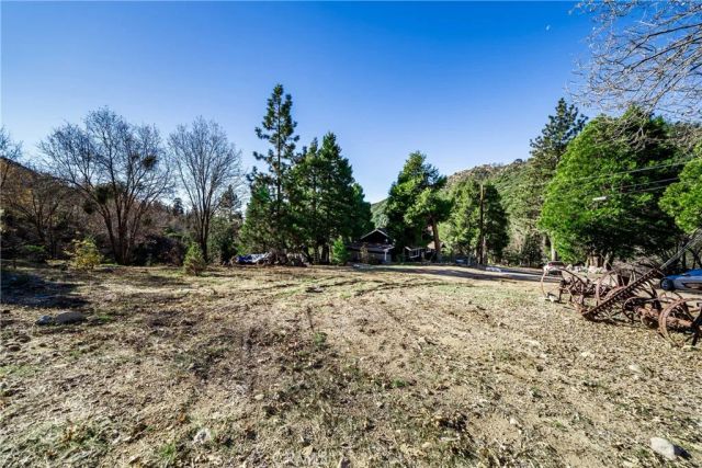 6031 Tripp, Angelus Oaks, CA 92305