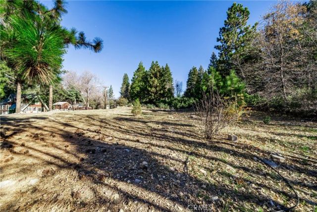 6031 Tripp, Angelus Oaks, CA 92305