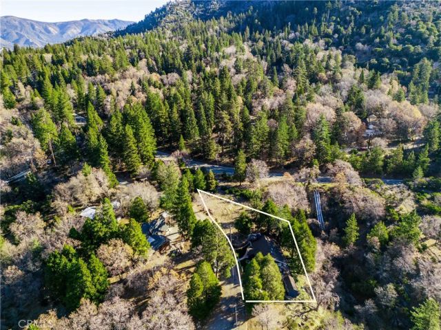 6031 Tripp, Angelus Oaks, CA 92305