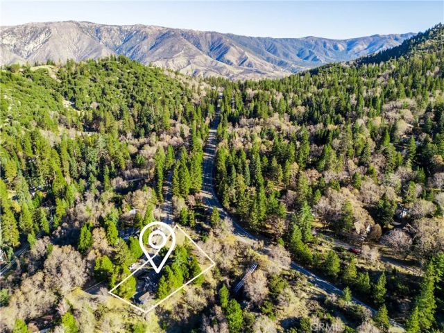 6031 Tripp, Angelus Oaks, CA 92305