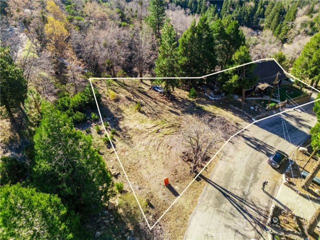 6031 Tripp, Angelus Oaks, CA 92305