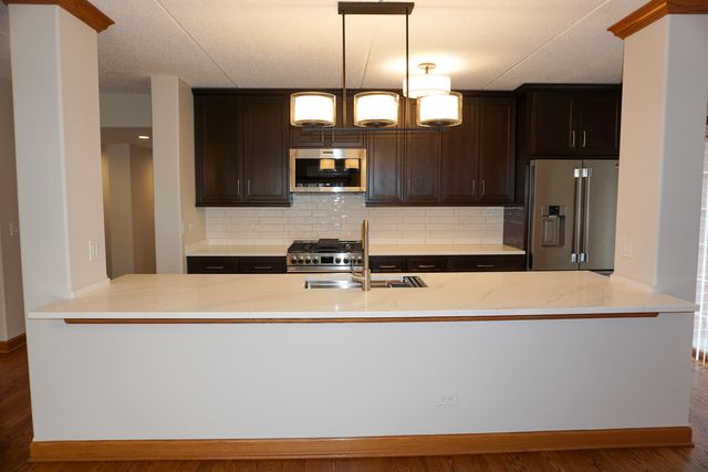 4811 N OLCOTT Avenue 516, Harwood Heights, IL 60706