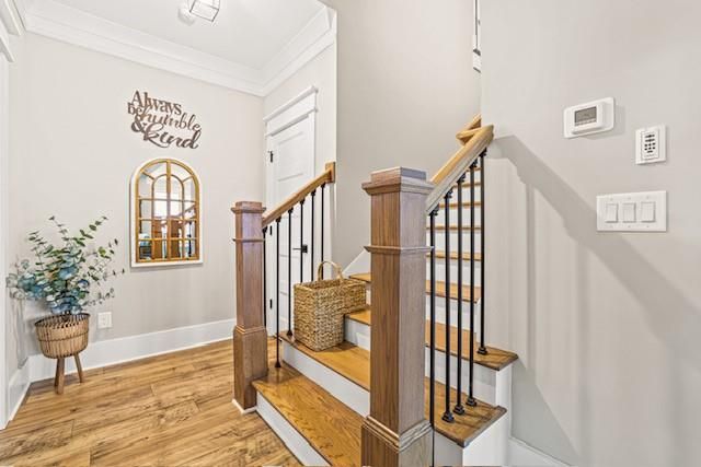 117 Alaina Road, Canton, GA 30115