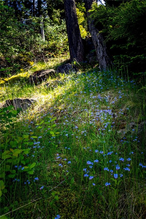 29137 Rocky Point Road, Polson, MT 59860 photo 53