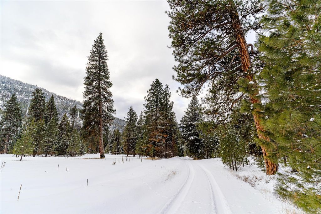 Nhn E Fisher Road, Libby, MT 59923 photo 10