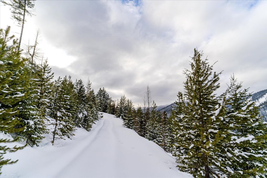 Nhn E Fisher Road, Libby, MT 59923 photo 13