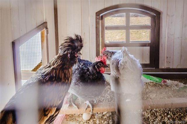 7940 Hooker Street, Westminster, CO 80030