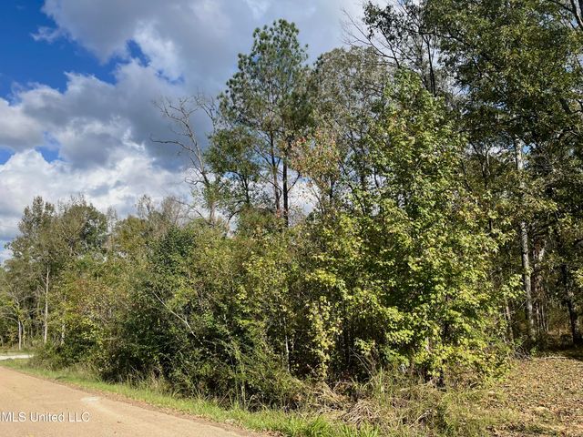 0 W Lake Dockery Drive, Byram, MS 39272