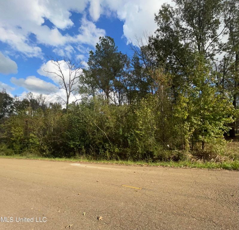 0 W Lake Dockery Drive, Byram, MS 39272