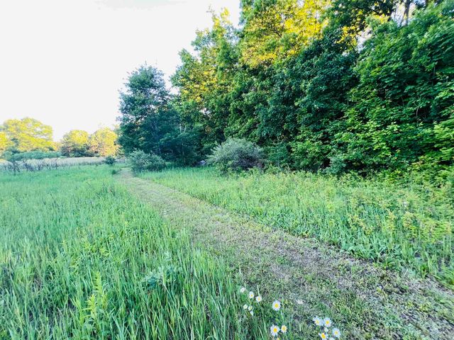 13845 70th Avenue, Evart, MI 49631