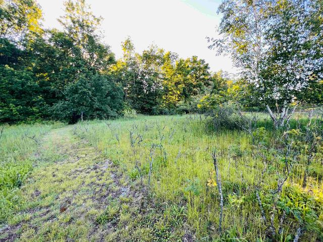 13845 70th Avenue, Evart, MI 49631