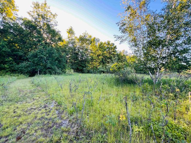 13845 70th Avenue, Evart, MI 49631