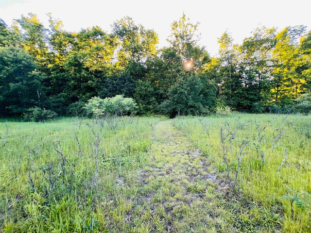 13845 70th Avenue, Evart, MI 49631